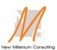 LOGO New Millenium Consulting
